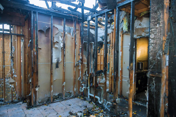 Professional Soot Cleanup technician working in Medford, WI